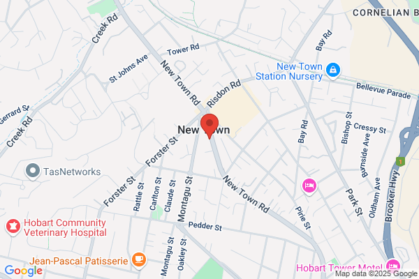 New town Chiropractic