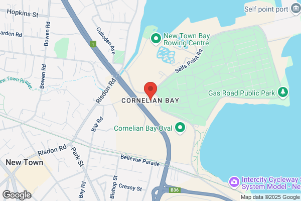 Cornelian Bay Technology