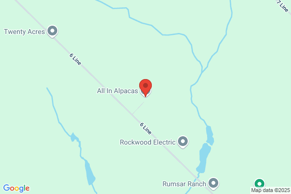 Erindale Alpacas