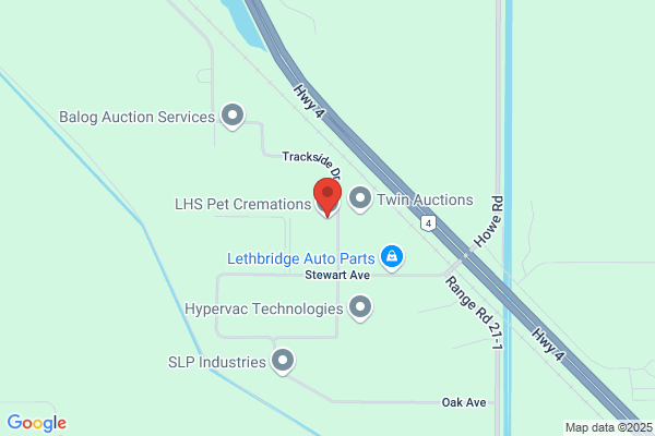 Pet Cremation Service