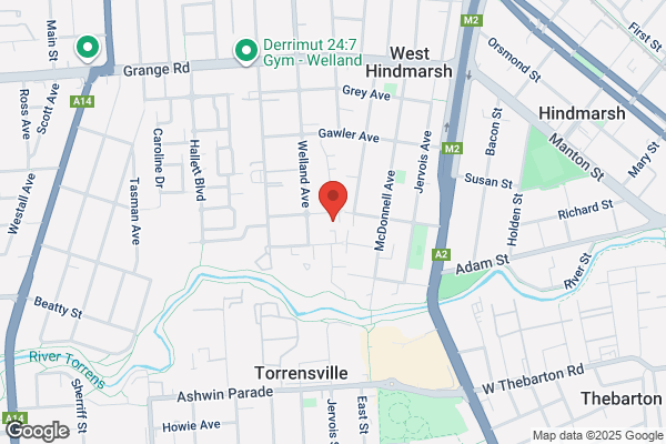 Disability Enterprises