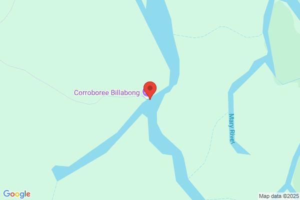 Billabong Tours