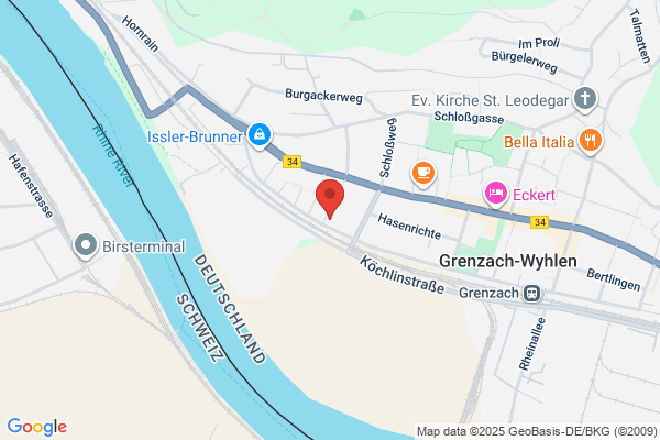 Bernzhunde Rottweilers