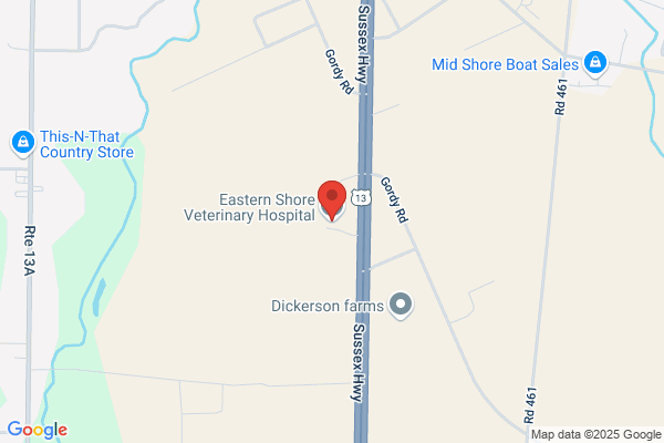 Eastern Shore Veterinary Hospital