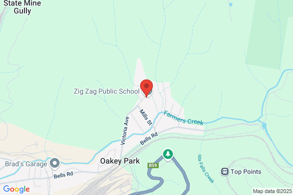 Zig Zag Public School