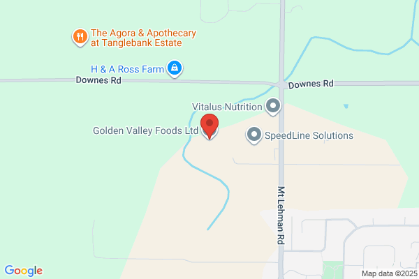 Golden Valley Eggs