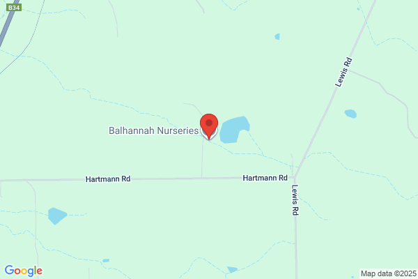 Balhannah Nurseries