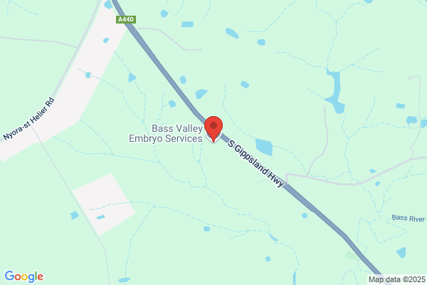 Bass Valley Embryo Services
