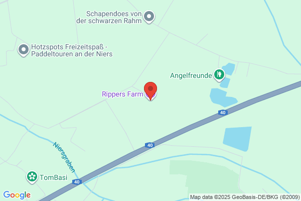 Rippers Transport