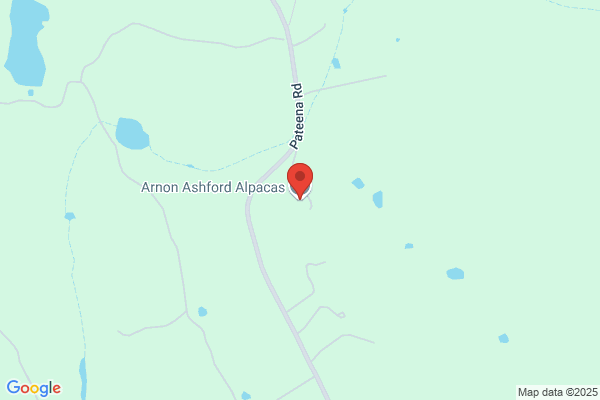 Arnon Lodge Alpacas