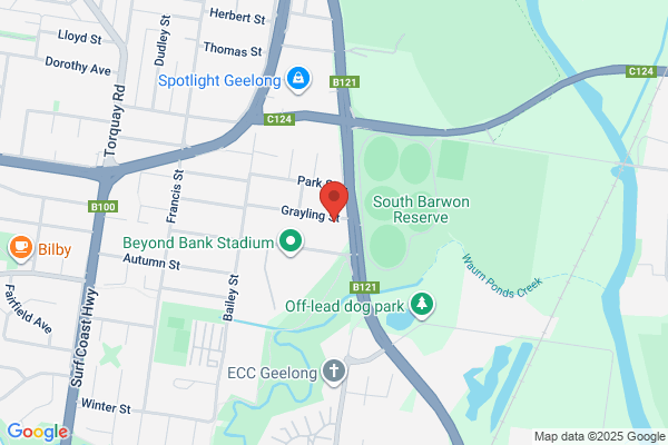 Geelong Lawn Mower Repair Service