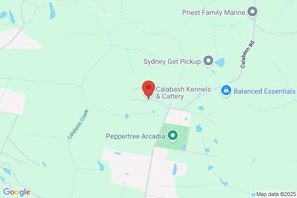 Bonza Dog Kennels