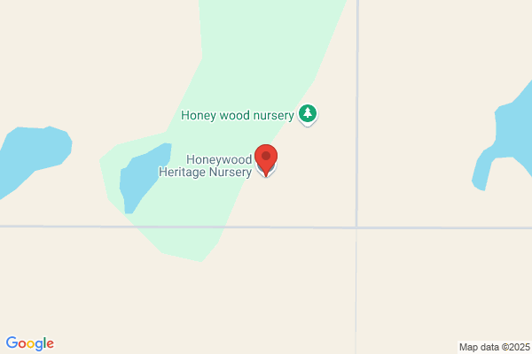 Honeywood Nursery