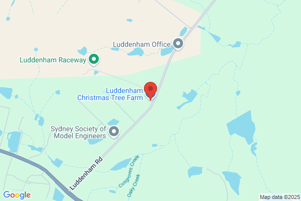AAA Christmas Tree Farm