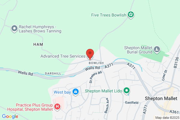 Advance Tree Lopping
