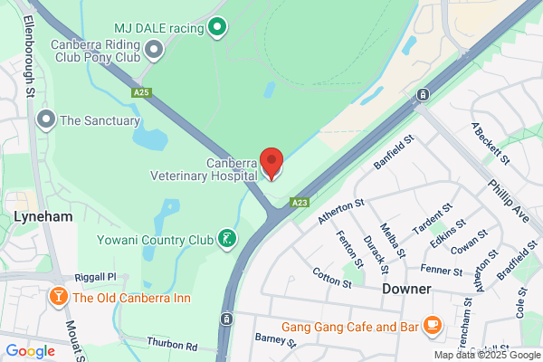 Canberra Veterinary Hospital