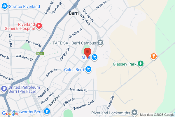Berri Veterinary Hospital & Emergency Centre