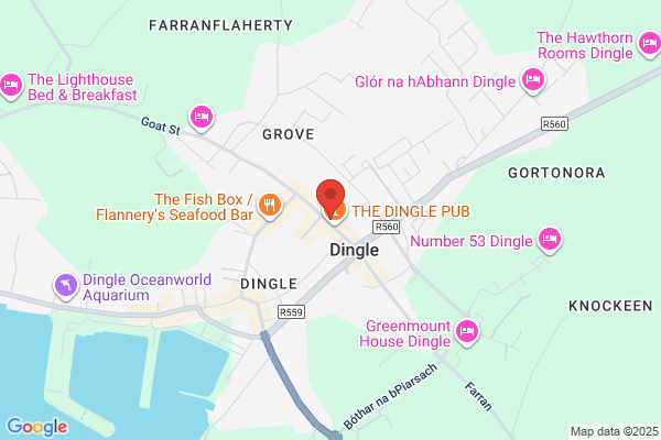 Dingle Paul