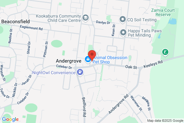 Domino's Pizza Andergrove