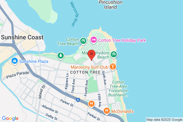 BWS Cotton Tree