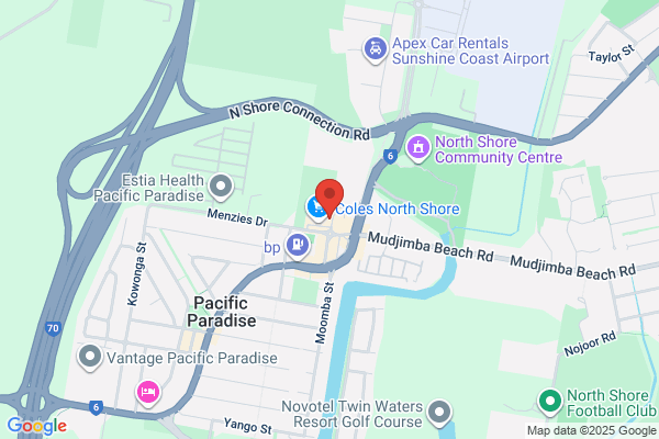 Domino's Pizza Pacific Paradise