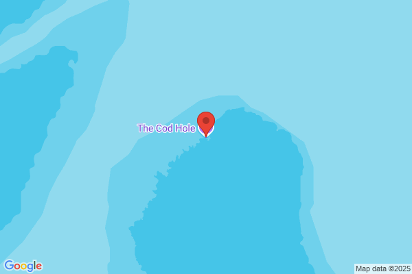 Cod Hole Store The