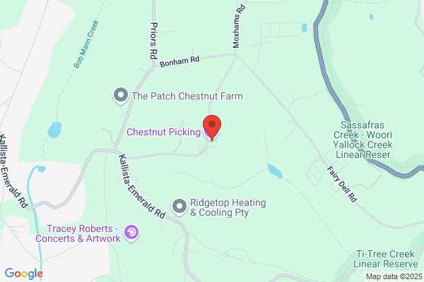 Chestnut Conservation