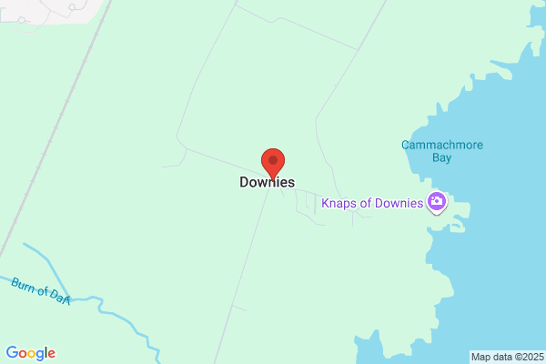Downies