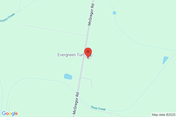 4 Evergreen Gardening