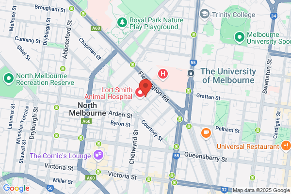Australian Institute Of Physics The