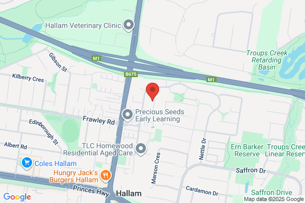 AFG Melbourne Luxury Limo