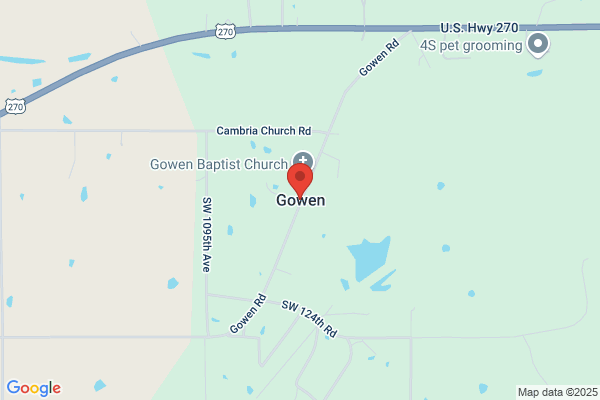 Gowen G J