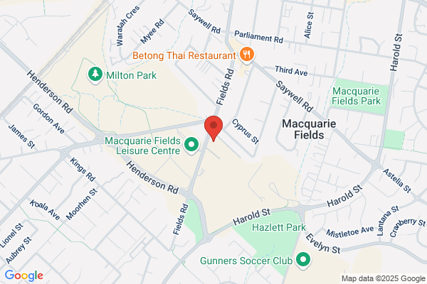 Macquarie Fields Public School