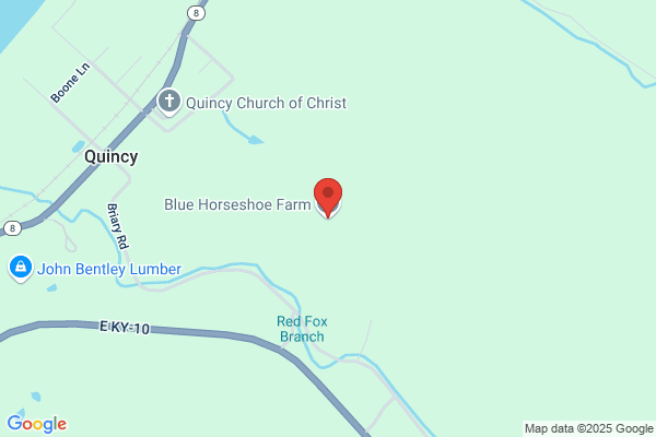 Bluey's Horseshoe Ranch