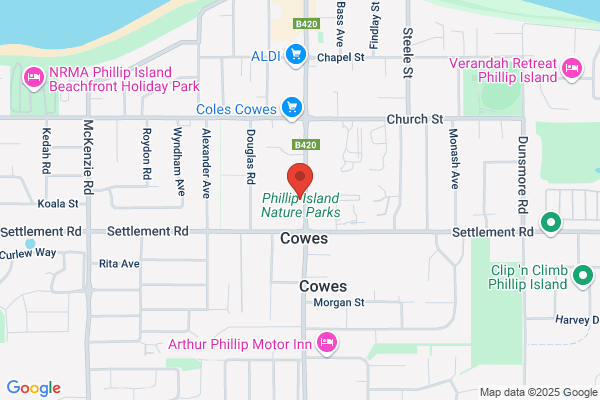 Animal Tales Pet Supplies