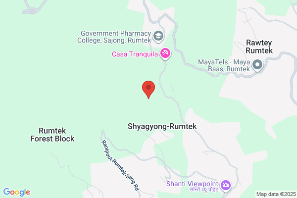 Bamboo Retreat B&B