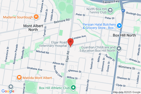 Elgar Road Veterinary Hospital