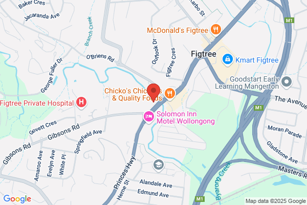 Figtree Auto Electrics