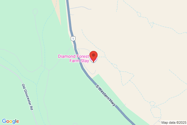 Diamond Forest Cottages