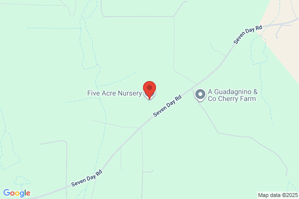 Five Acre Nursery