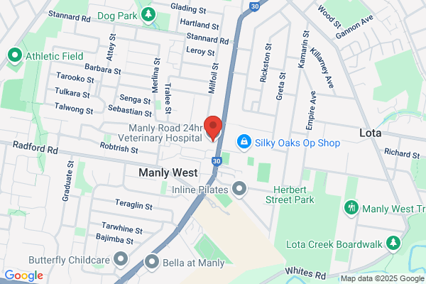 Manly Road Veterinary Hospital