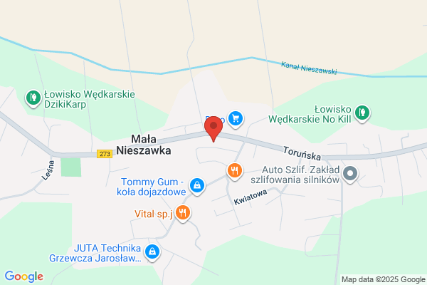Art 'n' Dolls