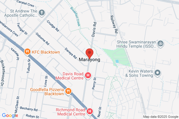 Ball Tony Painting Services