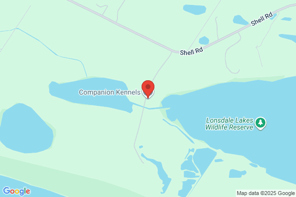 Companion Boarding Kennels