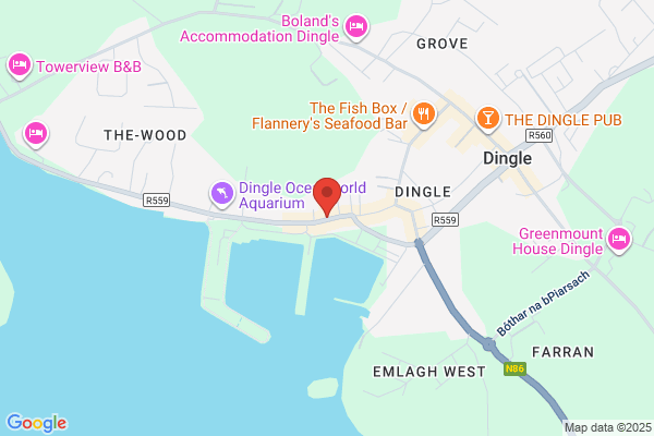 Dingle Tess