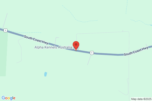 Alphalupus Kennels