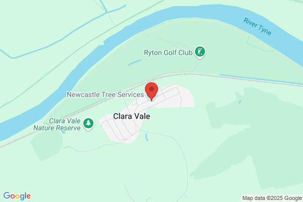 Newcastle Tree Care