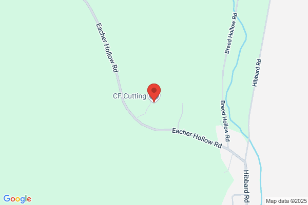 CF Cutting Service