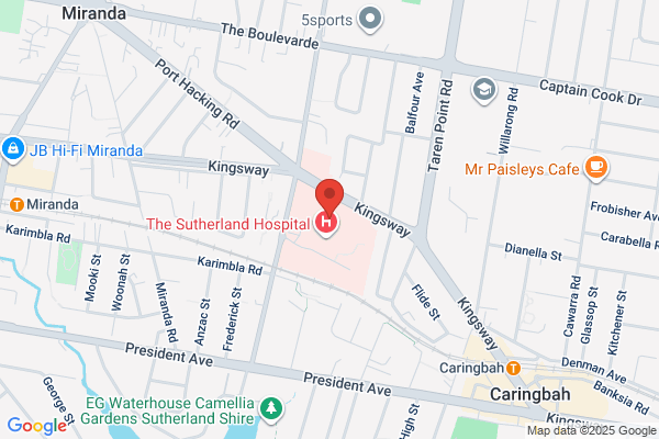 Central & South Eastern Sydney Health Care Interpreter