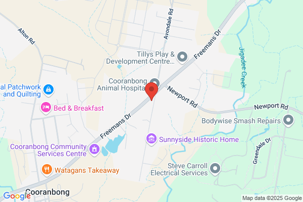 Cooranbong Denture Clinic